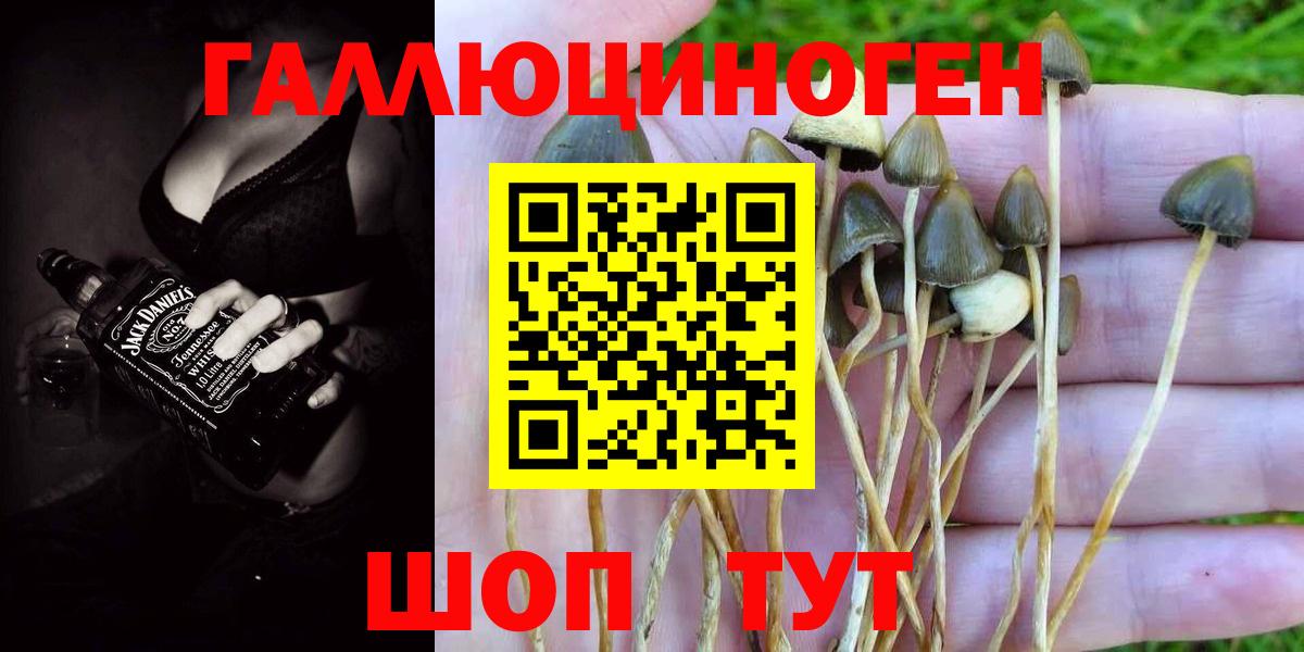 Псилоцибиновые грибы Psilocybe Лангепас